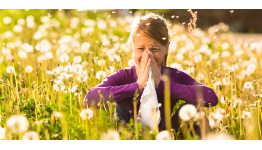 Allergie: cura e prevenzione