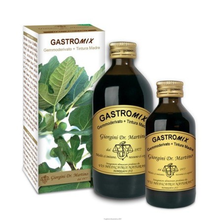GASTROMIX Liq.Analc.100ml