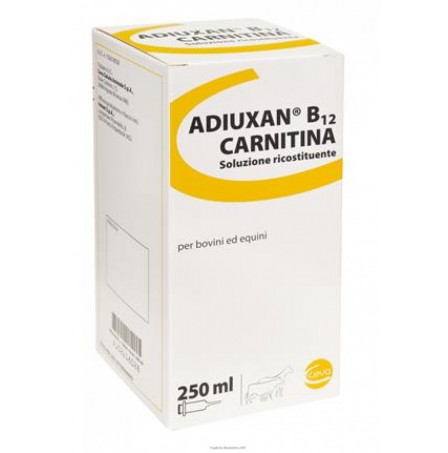 ADIUXAN B12 Carnitina Fl.250ml