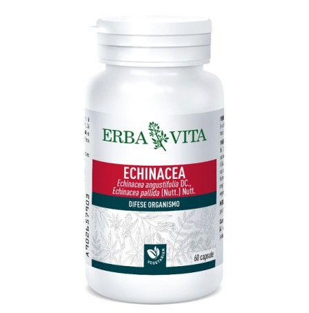 ECHINACEA  60 Cps 500mg    EBV