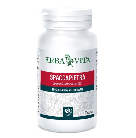 SPACCAPIETRA 60 Cps 350mg  EBV