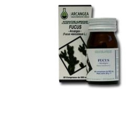 FUCUS 60 Cps 500mg ACN