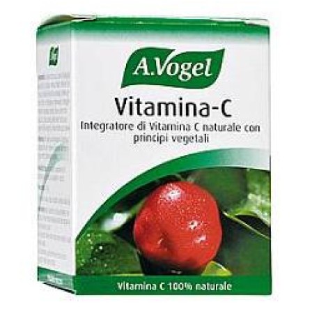 FdL Vitamina C 40 Past.41,5g