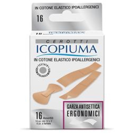 ICOPIUMA Cer.El.Ergom.Ass.16pz