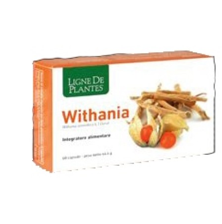 WITHANIA 60 Cps NSE