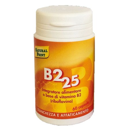 B2* 25 60 Cps N-P