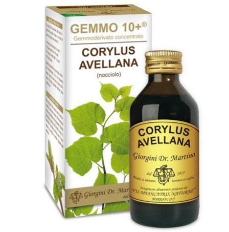 NOCCIOLO 100ML ANALCO GEM 10+