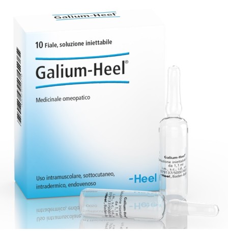Galium 10f 1,1ml Heel