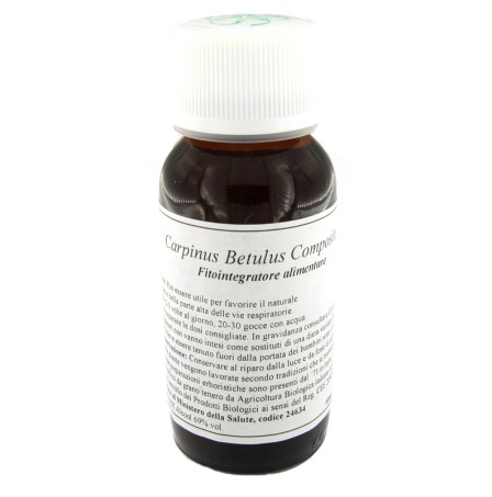 LVS 20N CARPINUS BETULUS COMP